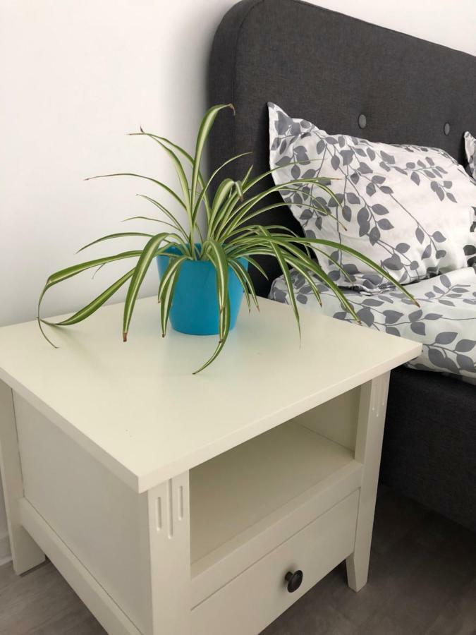 בוקרשט Sunrise Apartment מראה חיצוני תמונה